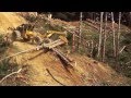 Skidder Tigercat 635D Steep Slope Operation