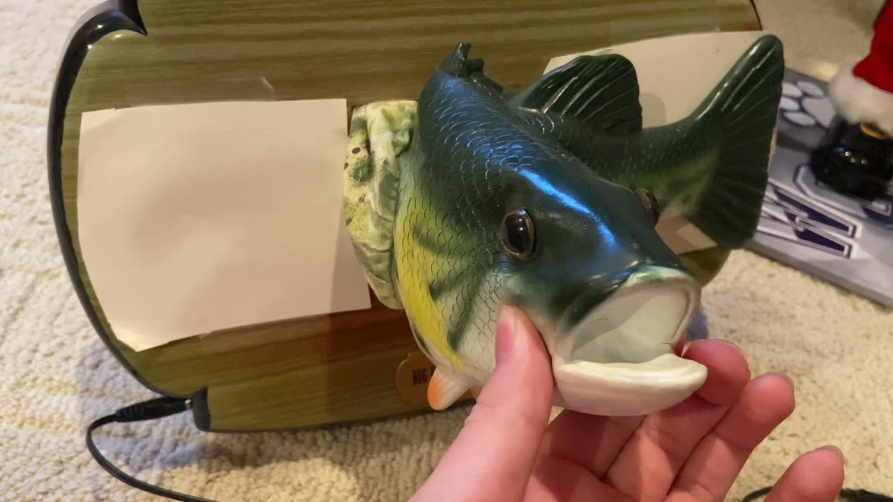 Big mouth rainbow trout glitching