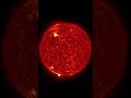 Plasma Loops on The Sun After Massive Solar Explosion #sun #astronomy #universe