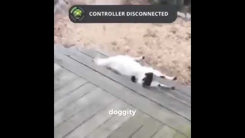 Controller disconnected