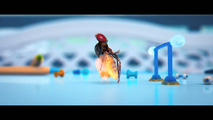 映画『マッキー』ハエの筋トレシーン公開！！