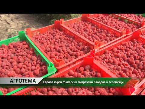 Видео: Как да изберем замразени плодове?