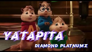 DIAMOND PLATNUMZ -YATAPITA Chipmunk cover|Kanaple Extra