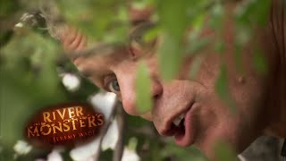 Spying On A Bold Wels Catfish | CATFISH | River Monsters