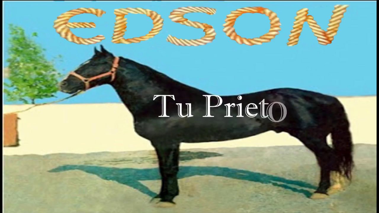 Bronco Album Tu prieto - thptnganamst.edu.vn