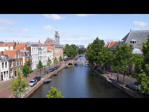 Video: Vaders Vandaag: Ontwerp Van Een Gerandomiseerd, Gecontroleerd Onderzoek Naar De Rol Van Oxytocine En Vasopressine Bij Gedrags- En Neurale Reacties Op Signalen Van Kinderen