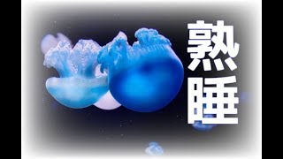 【ヒーリングミュージック 海 】吐き気や頭痛、悪夢に悩む人も、ほんの10分聞き流すだけ。深い海底から響くような癒しの音楽がα波で自律神経を整え、上質なリラックス・睡眠効果を貴方に与える