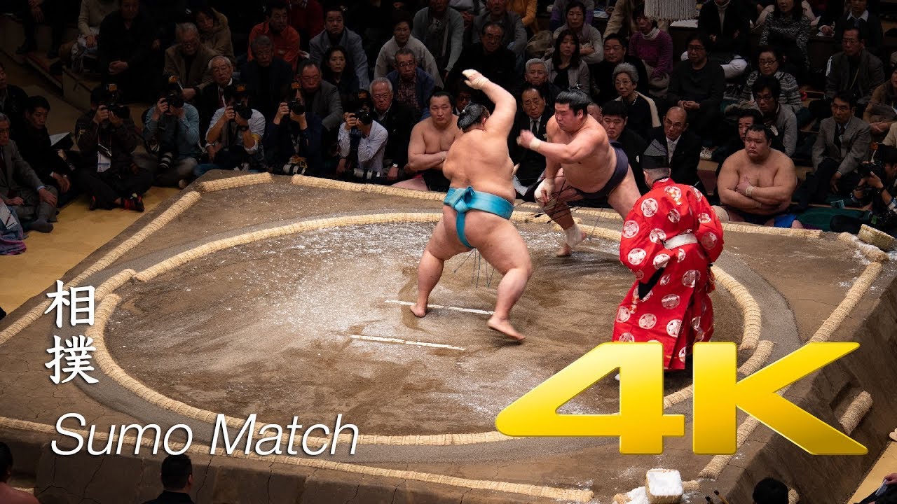 Les Combats de Sumo   Tokyo   