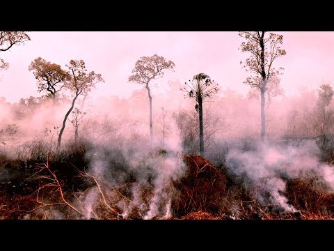 Video: Brazilia A Redus 20 De Milioane De Dolari Pentru A Ajuta La Combaterea Incendiilor Amazon