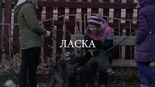 Тизер "Ласка"