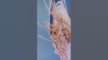 Visual performance on my single "ENOUGH" pt6 #vj #vjing #3d #techno #tech #experimental #performance