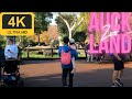 Auckland zoo walking tour  auckland  4k