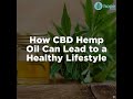 Hemp oil is good for you and can help to lead a healthy lifestyle.

This video gives an overview of how hemp derived CBD oil can help keep your body in balance.

Buy your CBD oil form HopeCBD here : - https://hopecbd.com
_______________________
Video Transcript

How CBD Hemp Oil Can Lead to a Healthy Lifestyle

Cannabidiol supplements are shown to generate equilibrium in the body.

CBD regulate certain central functions.....and will bring harmony to your body's systems.

While our bodies do create their own natural cannabinoids,

adding CBD from hemp to our daily lives will only improve the way our bodies function.

CBD can work as a neuroprotectant, which will protect the health of your brain.

In addition to CBD, hemp oil can contain a lot of essentials for a well-rounded diet.

The hemp plant can be a natural source of vitamins.

and adding it to our diet may be critical in allowing our bodies to
