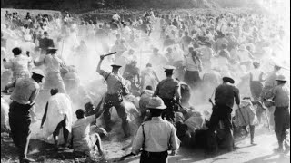 The Horrors Of The Parsley Macre - Short History Doentary