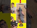 شاهد رجل وسط قطيع من التماسيح مش هتصدق ايه الي حصل اكسبلور ضحك شاهد رجل وسط قطيع من التماسيح مش هتصدق ايه الي حصل اكسبلور ضحك