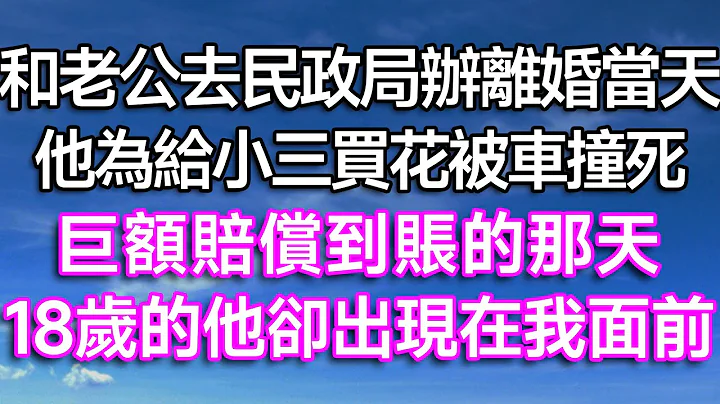 和老公去民政局办离婚当天，他为给小三买花被车撞死！巨额赔偿到账的那天，18岁的他却出现在我面前！| #故事 #一口气看完 #情感故事 #爱情 #婚姻 #结婚 #离婚 #出轨 #小三 #渣男 #婆媳 - 天天要闻