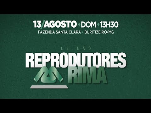 Lote 92 (Rima FIV LudoVico - RIMA A1301 / Rima FIV Lombardi - RIMA A1722)