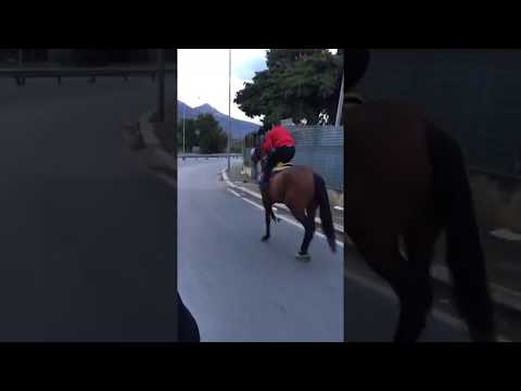 CRASH Gypsy crashes horse 🐴 BRUTAL