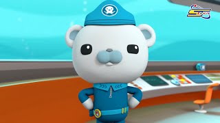 سبيستون - أوقات عرض Octonauts على كوكب مغامرات