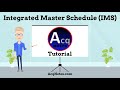 Integrated master schedule ims tutorial