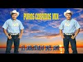 El Solitario del Sur Mix || Puros Corridos Mix 2021