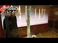 《国宝档案》 20170905 镇馆之宝——吴王的传世之剑 | CCTV-4