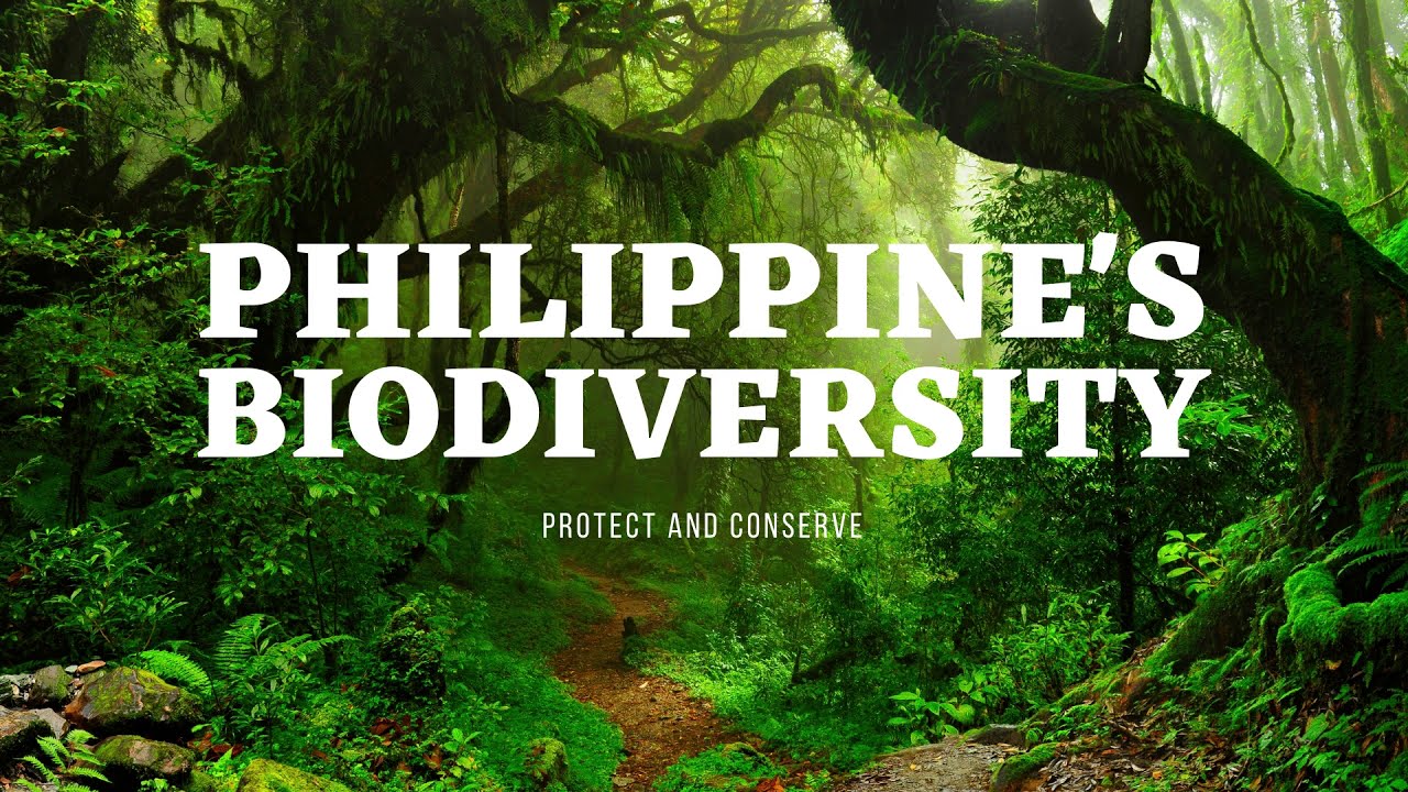 thesis about biodiversity in the philippines