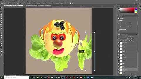 PS CC 2020 Part 2 Selections To Make A Fruit Face Danielle Oser Source