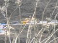 Fila de autobuses subiendo la montaña de Cristo Rey (cubilete)