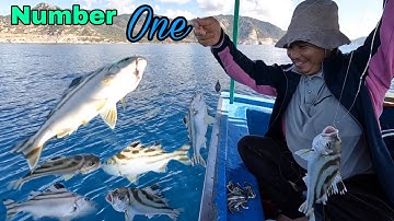 186) MỘT BỮA CÂU CÁ CĂN BỘI THU CỦA (ỘT VLOG)