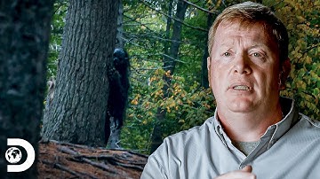 Dos hombres son perseguidos por una criatura extraña | Bosques Embrujados | Discovery Latinoamérica