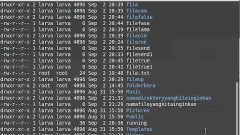 Belajar Command Line Interface Linux (BASH)