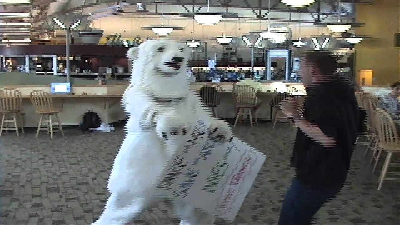 Bowdoins Polar Bear Dance Party Youtube