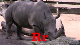 Madrigal Alphabet - My Version