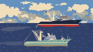 K-Sim Fishery - supporting a more sustainable fishery