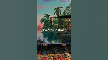 I destroyed it. And no undo button. Saved by instinct. Just like life. Original art at NatePaint.com