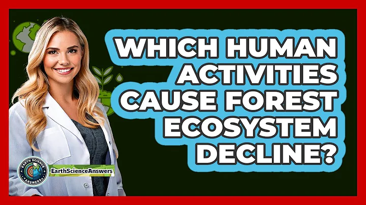 Which Human Activities Cause Forest Ecosystem Decline?