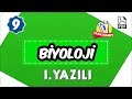 9.Sınıf Biyoloji 2.Dönem 1.Yazılı | 2020