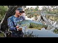 MURRAY COD ON FOOT.