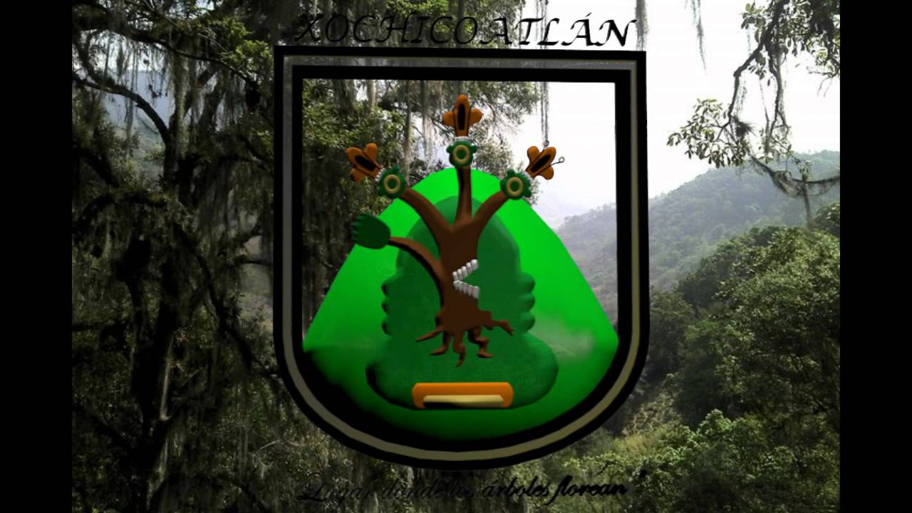 Xochicoatlán YouTube