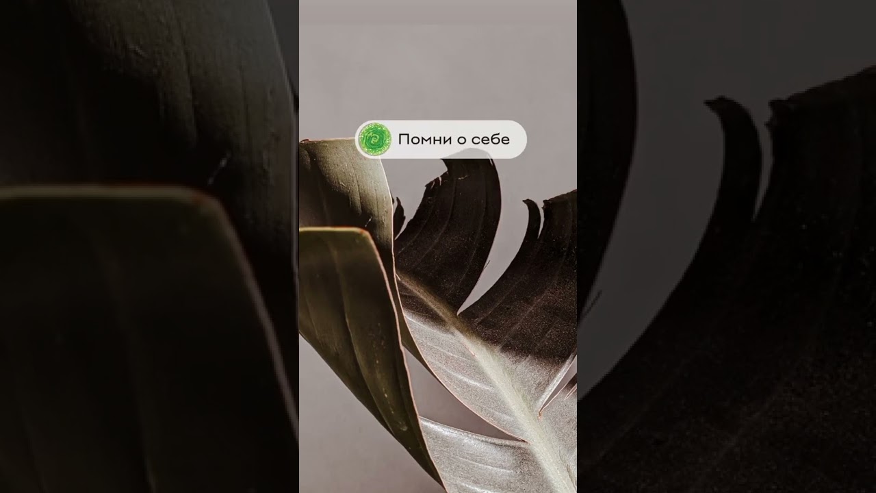 17 февраля 2022 г.