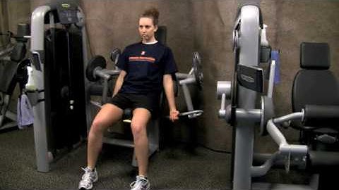 Techno Gym Biceps Demonstration