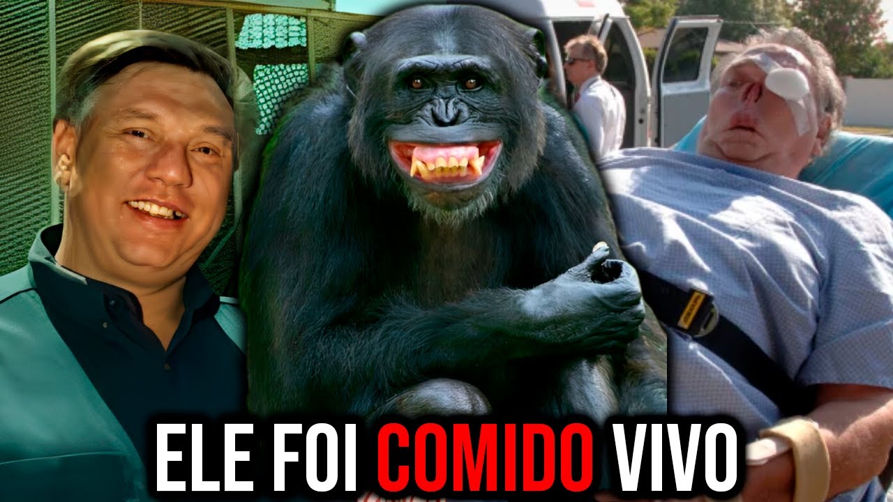 O CASO BRUTAL DO CHINPANZÉ MOE (ESCAPOU DA JAULA)