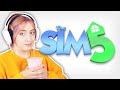 So, The Sims 5...