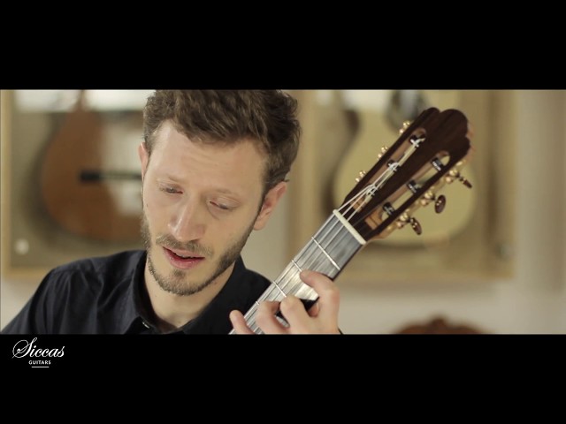 Francesco Cascarano plays ¿Quién más rendido? by Castelnuovo-Tedesco on a 2018 Lisa Weinzierl