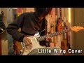 Little wing cover