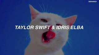 Taylor Swift - Macavity (Sub Español)