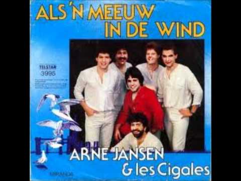 arne jansen - als een meeuw in de wind