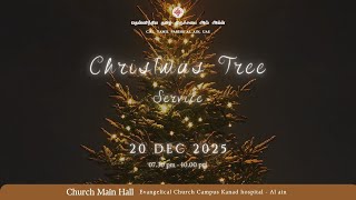 Christmas Tree Service - 20.12.2025