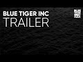 Welcome to blue tiger inc